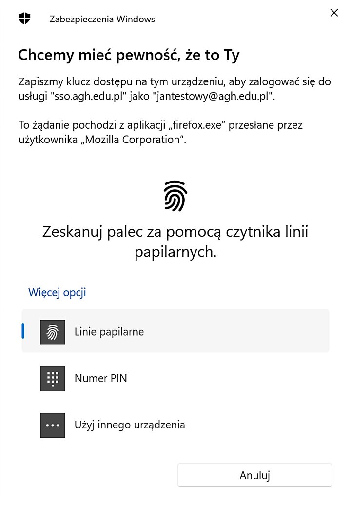 Dodanie Windows Hello do SSO