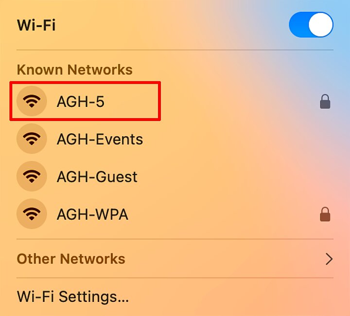 Wi-Fi settings on macOS