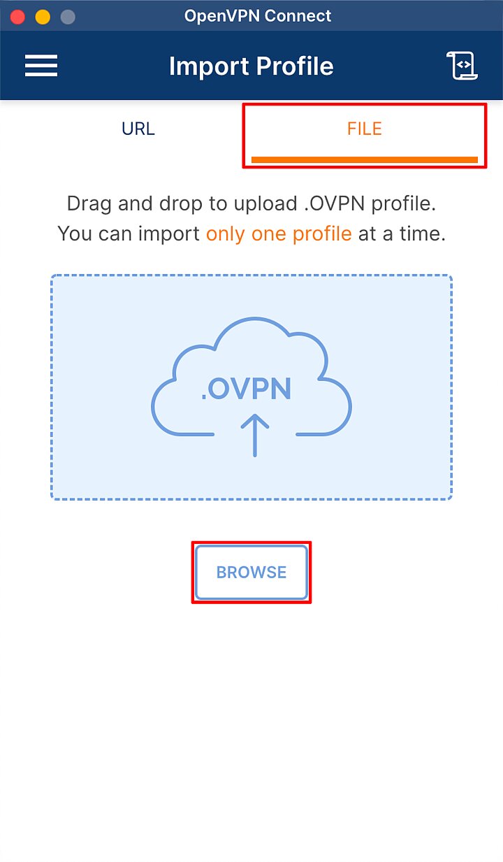 Widok programu OpenVPN