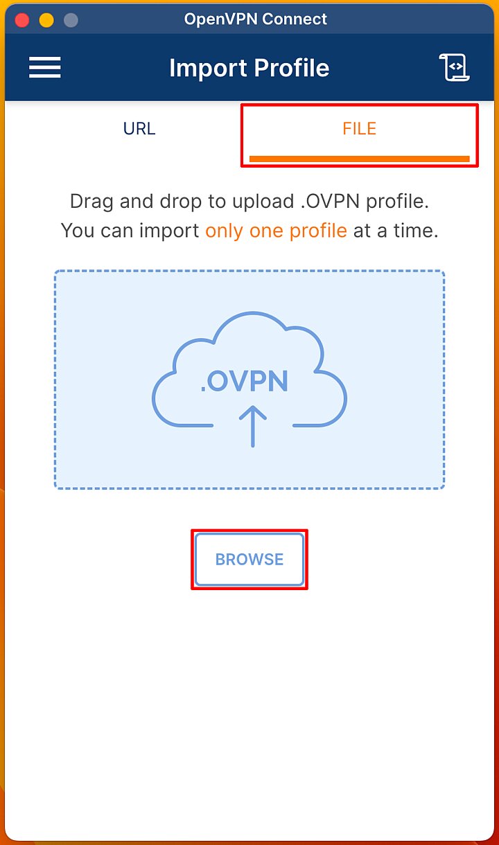 Widok programu OpenVPN